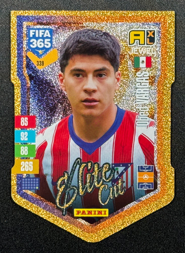 Panini fifa 365 - panini,