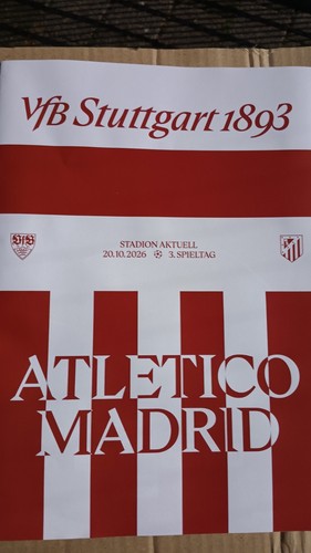 Programm vfb stuttgart - ,