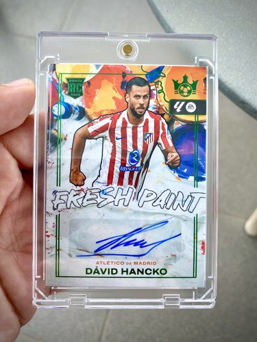 David hancko auto panini - david,
