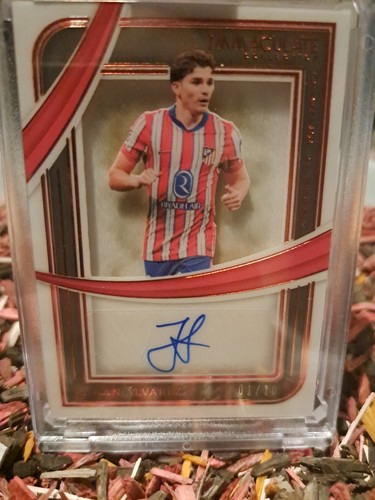 Panini julian alvarez - julian,